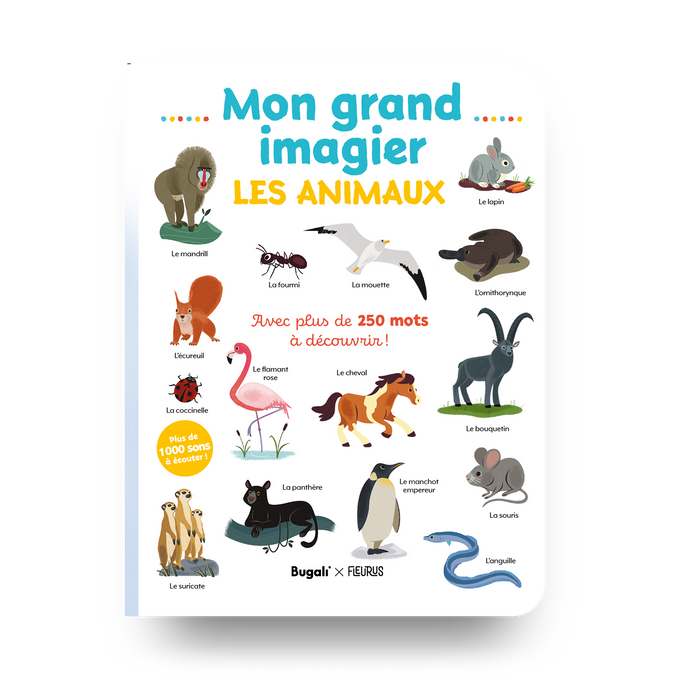 Mon grand imagier • les animaux (3+)