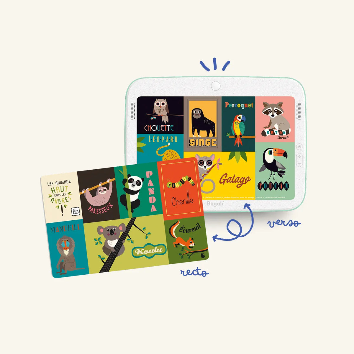 Coffret 5 cartes interactives Kézaco ? (3+) – Bugali
